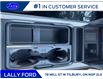 2025 Ford F-250 Platinum (Stk: LFFF00857) in Tilbury - Image 14 of 15