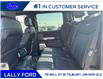 2025 Ford F-250 Platinum (Stk: LFFF00857) in Tilbury - Image 15 of 15