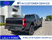 2025 Ford F-350 Platinum (Stk: LFFF00556) in Tilbury - Image 3 of 16