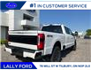 2025 Ford F-250 Platinum (Stk: LFFF00487) in Tilbury - Image 3 of 15