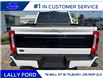 2025 Ford F-250 Platinum (Stk: LFFF00487) in Tilbury - Image 4 of 15