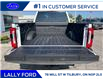 2025 Ford F-250 Platinum (Stk: LFFF00487) in Tilbury - Image 5 of 15