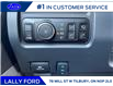 2025 Ford F-250 Platinum (Stk: LFFF00487) in Tilbury - Image 9 of 15
