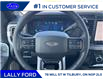 2025 Ford F-250 Platinum (Stk: LFFF00487) in Tilbury - Image 11 of 15