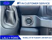 2025 Ford F-250 Platinum (Stk: LFFF00487) in Tilbury - Image 12 of 15