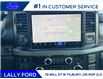 2025 Ford F-250 Platinum (Stk: LFFF00487) in Tilbury - Image 13 of 15