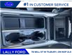 2025 Ford F-250 Platinum (Stk: LFFF00487) in Tilbury - Image 14 of 15