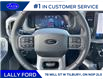 2025 Ford F-150 XLT (Stk: LFFF00563) in Tilbury - Image 12 of 18