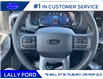 2025 Ford F-150 XLT (Stk: LFFF00563) in Tilbury - Image 13 of 18