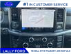 2025 Ford F-150 XLT (Stk: LFFF00563) in Tilbury - Image 16 of 18