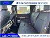 2025 Ford F-150 XLT (Stk: LFFF00563) in Tilbury - Image 18 of 18