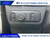 2025 Ford Bronco Sport Big Bend (Stk: LFBS00879) in Tilbury - Image 9 of 14