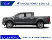 2025 Ford F-150 Lariat (Stk: LFFF00998) in Tilbury - Image 2 of 12