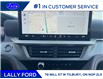 2025 Ford Explorer ST-Line (Stk: LFEX00968) in Tilbury - Image 13 of 15