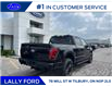 2025 Ford F-150 Lariat (Stk: LFFF00691) in Tilbury - Image 3 of 15