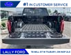 2025 Ford F-150 Lariat (Stk: LFFF00691) in Tilbury - Image 5 of 15