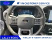 2025 Ford F-150 Lariat (Stk: LFFF00691) in Tilbury - Image 11 of 15