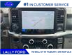 2025 Ford F-150 Lariat (Stk: LFFF00691) in Tilbury - Image 13 of 15