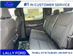 2025 Ford F-150 XLT (Stk: LFFF00583) in Tilbury - Image 14 of 15