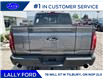 2025 Ford F-150 Tremor (Stk: LFFF00867) in Tilbury - Image 4 of 16