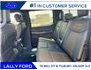 2025 Ford F-150 Tremor (Stk: LFFF00867) in Tilbury - Image 16 of 16