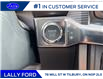 2025 Ford F-150 Tremor (Stk: LFFF00867) in Tilbury - Image 12 of 16