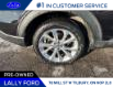 2021 Ford Explorer Platinum (Stk: 5195LR) in Tilbury - Image 4 of 25
