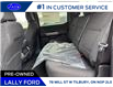 2025 Ford F-150 XLT (Stk: LFFF00716) in Tilbury - Image 15 of 15
