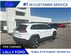 2014 Jeep Cherokee Trailhawk (Stk: -) in Tilbury - Image 5 of 24