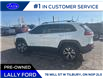 2014 Jeep Cherokee Trailhawk (Stk: -) in Tilbury - Image 9 of 24