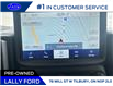 2024 Ford Bronco Sport Big Bend (Stk: -LF00396A) in Tilbury - Image 16 of 20
