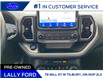2022 Ford Bronco Sport Big Bend (Stk: LFBR28228R) in Tilbury - Image 13 of 15