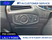 2020 Ford Edge Titanium (Stk: LF30598A) in Tilbury - Image 9 of 15