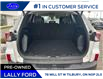 2022 Ford Escape SEL Hybrid (Stk: LFSPEP00256A) in Tilbury - Image 5 of 15