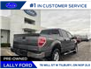 2013 Ford F-150 XLT (Stk: LFFF00649A) in Tilbury - Image 3 of 15