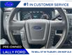 2013 Ford F-150 XLT (Stk: LFFF00649A) in Tilbury - Image 11 of 15