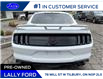 2022 Ford Mustang GT Premium (Stk: LFFF00361B) in Tilbury - Image 4 of 15