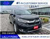 2019 Honda CR-V Touring (Stk: LF00419A) in Tilbury - Image 1 of 15