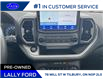 2023 Ford Bronco Sport Big Bend (Stk: LF00483A) in Tilbury - Image 13 of 15