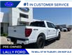 2025 Ford F-150 Lariat (Stk: LFFF00536) in Tilbury - Image 3 of 15