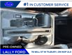 2022 Ford F-150 XLT (Stk: LFFF00481A) in Tilbury - Image 13 of 14