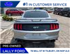 2021 Ford Mustang GT Premium (Stk: LFFF00698A) in Tilbury - Image 4 of 13