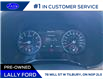 2020 Kia Telluride SX Limited (Stk: LFED01292A) in Tilbury - Image 10 of 15