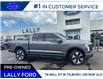 2022 Ford F-150 Lightning Platinum (Stk: LF00575R) in Tilbury - Image 3 of 20