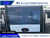 2022 Ford F-150 Lightning Platinum (Stk: LF00575R) in Tilbury - Image 16 of 20