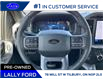 2025 Ford F-150 XLT (Stk: LFFF00590) in Tilbury - Image 11 of 15