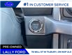 2025 Ford F-150 XLT (Stk: LFFF00590) in Tilbury - Image 12 of 15