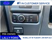 2025 Ford F-150 XLT (Stk: LFFF00470) in Tilbury - Image 8 of 13