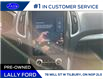 2024 Ford Edge SEL (Stk: LF20675TR) in Tilbury - Image 13 of 14