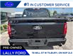 2025 Ford F-150 XLT (Stk: LFFF00563) in Tilbury - Image 4 of 18